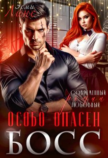 мой Босс — особо опасен