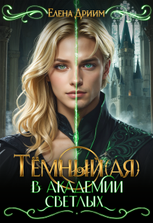 Тёмный(ая) в академии светлых